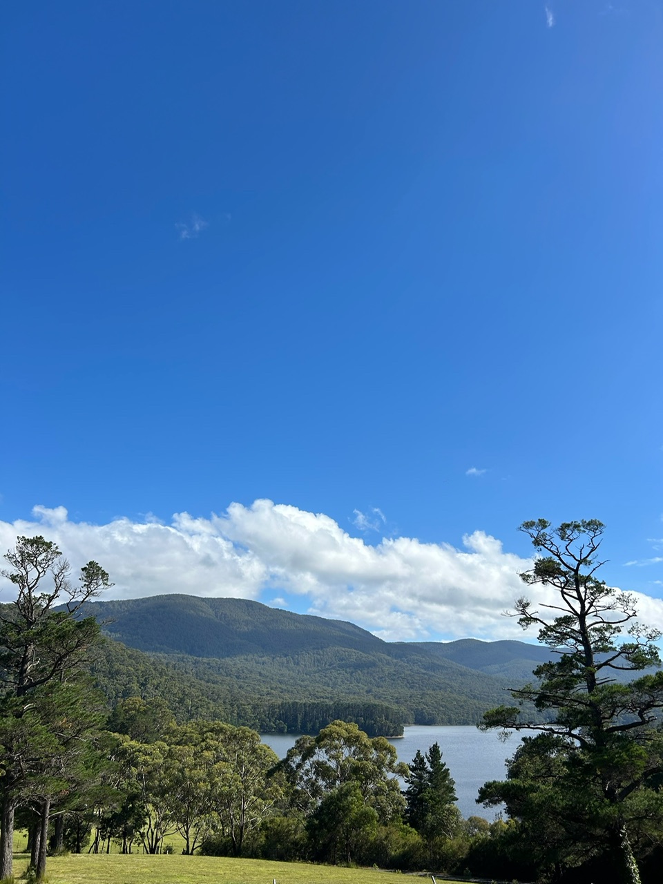 A voir Maroondah Reservoir Park et Sherbrooke Forest